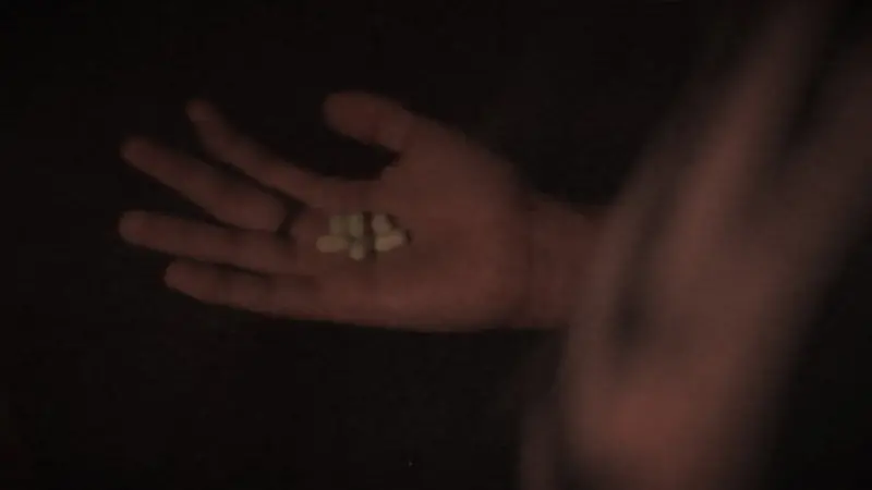 Still from Horrizaphenics